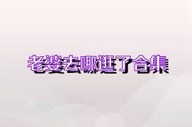 老婆去哪逛了合集
