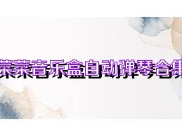 菜菜音乐盒自动弹琴合集