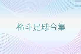 格斗足球合集