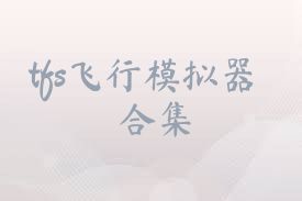 tfs飞行模拟器合集