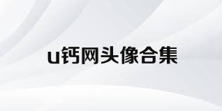 u钙网头像合集