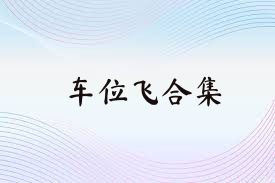 车位飞合集