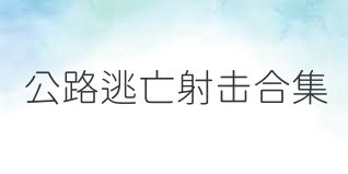 公路逃亡射击合集