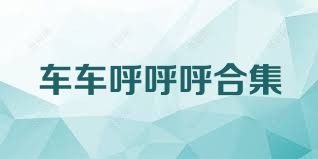 车车呼呼呼合集