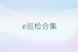 e巡检合集