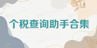 个税查询助手合集