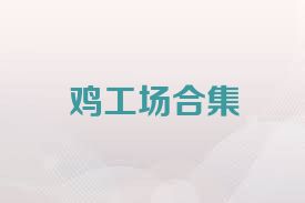 鸡工场合集