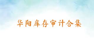 华阳库存审计合集