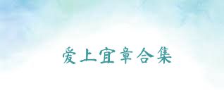 爱上宜章合集