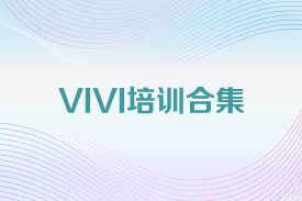 VIVI培训合集