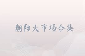 朝阳大市场合集