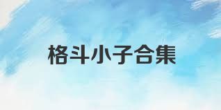 格斗小子合集
