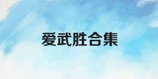 爱武胜合集