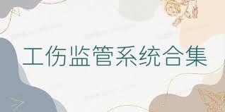 工伤监管系统合集