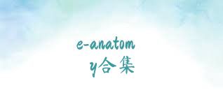e-anatomy合集