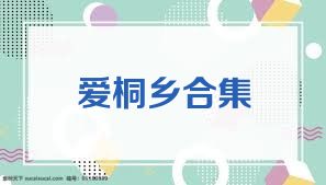 爱桐乡合集