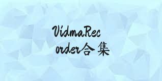 VidmaRecorder合集