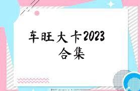 车旺大卡2023合集