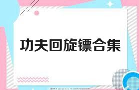 功夫回旋镖合集