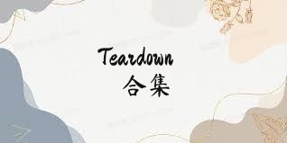 Teardown合集