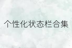 个性化状态栏合集