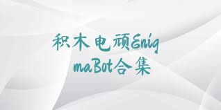 积木电顽EnigmaBot合集