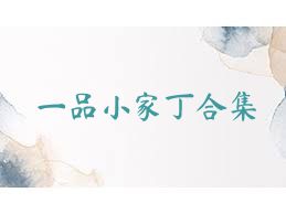 一品小家丁合集