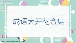 成语大开花合集