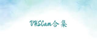 VHSCam合集