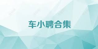 车小聘合集