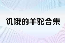 饥饿的羊驼合集