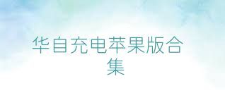 华自充电苹果版合集