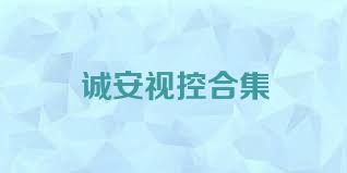 诚安视控合集