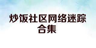 炒饭社区网络迷踪合集