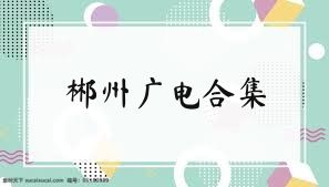 郴州广电合集