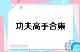 功夫高手合集