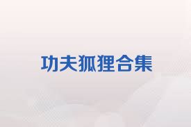 功夫狐狸合集