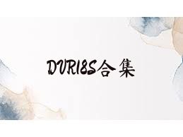 DVR18S合集