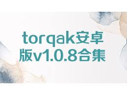 torqak安卓版v1.0.8合集