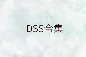 DSS合集