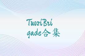 TuoziBrigade合集