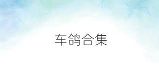 车鸽合集