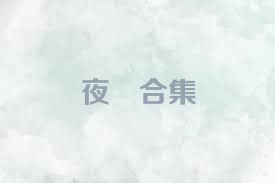 夜廻合集