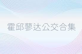 霍邱蓼达公交合集