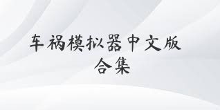 车祸模拟器中文版合集