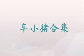 车小猪合集