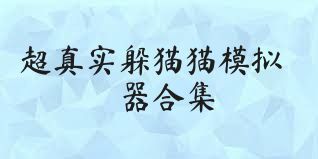 超真实躲猫猫模拟器合集