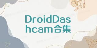 DroidDashcam合集