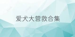 爱犬大营救合集