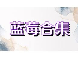 蓝莓合集